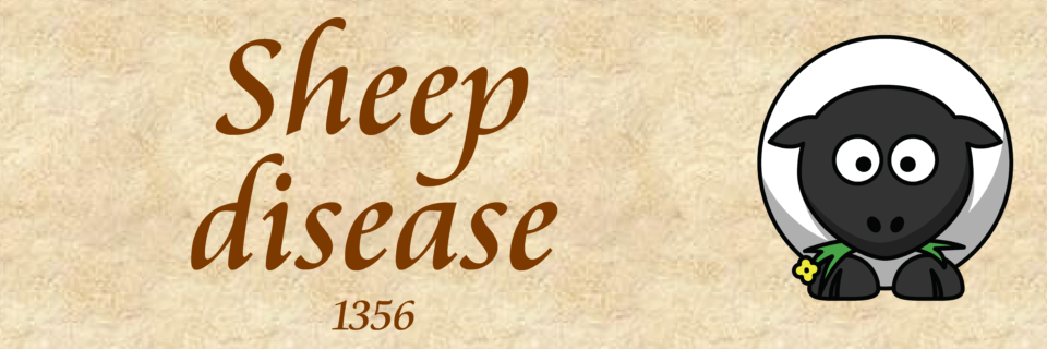 slider accounts_Page_16