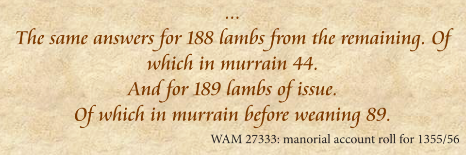 slider accounts_Page_18