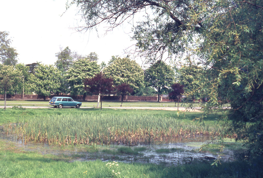 Cranmer Green pond, Mitcham, Surrey CR4. The pond dates from after 1717. It was probably dug for sand or gravel.