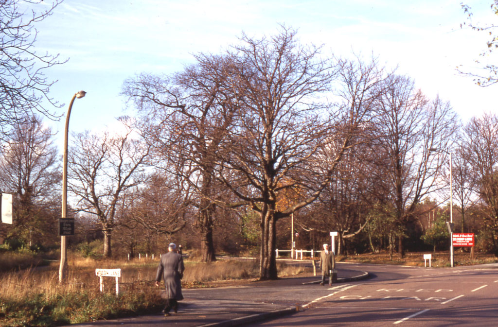 Junction Willow Lane and Carshalton Road, Mitcham, Surrey CR4. Known as Rowcrofts Corner. part of Mitcham Common.