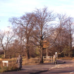 Junction Willow Lane and Carshalton Road, Mitcham, Surrey CR4. Known as Rowcrofts Corner. part of Mitcham Common.
