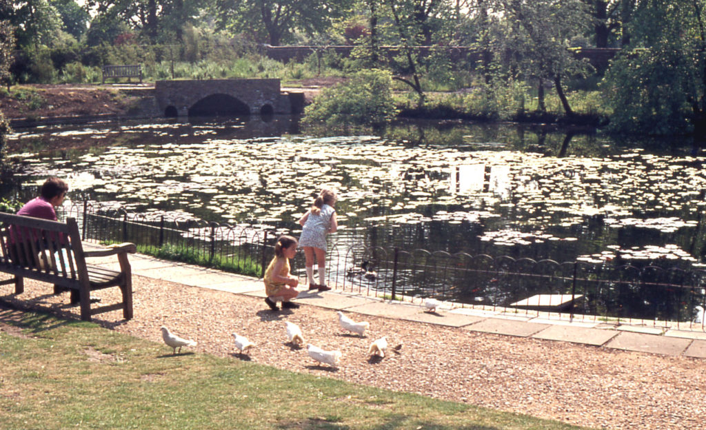 The Canons pond, The Canons, Madeira Road, Mitcham, Surrey CR4.