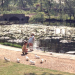 The Canons pond, The Canons, Madeira Road, Mitcham, Surrey CR4.