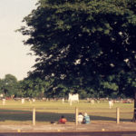 Mitcham Cricket Green, Mitcham, Surrey CR4. Midsummer. taken from London Road. looking south-east.