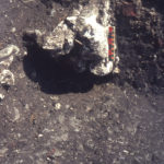 Medieval Footings at Hall Place, Lower Green West, Mitcham, Surrey CR4.