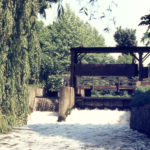 Flood gate and willow on Wandle, Mitcham, Surrey CR4.