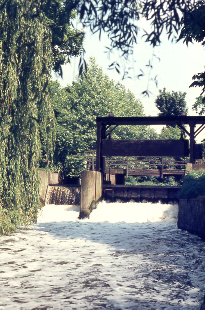 Flood gate and willow on Wandle, Mitcham, Surrey CR4.