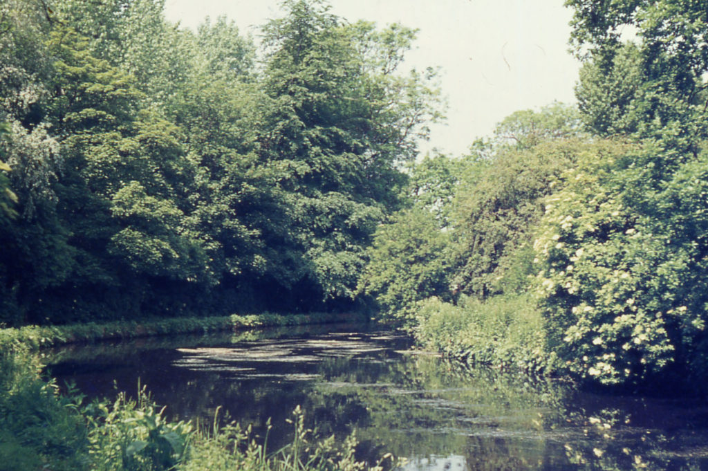 The Wandle at Watermeads, Mitcham, Surrey CR4.