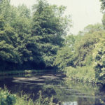 The Wandle at Watermeads, Mitcham, Surrey CR4.