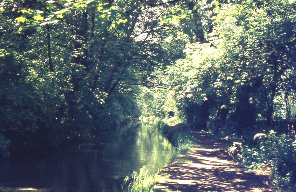 The Paper Mill Cut, Watermeads, Mitcham, Surrey CR4. Seen from the south.
