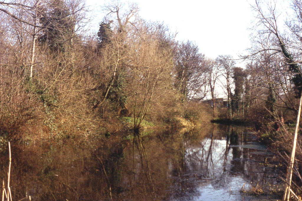 Pike Pond, the Watermeads, Mitcham, Surrey CR4.