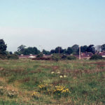 Mitcham Common, Mitcham, Surrey CR4. Near Cedars Avenue.