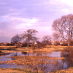 Seven Islands Pond, Mitcham Common, Mitcham, Surrey CR4.
