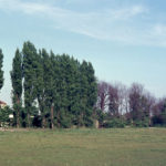 Bucking Grove Corner, Mitcham Common, Mitcham, Surrey CR4. Galpins Road.