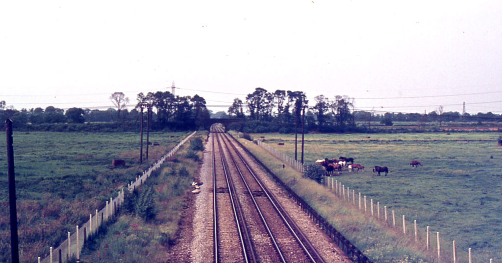 Beddington Sewage Farm, Mitcham Common, Mitcham, Surrey CR4. From One Mile Road.