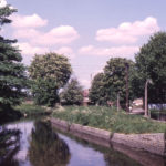 Wandle below Phipps Bridge, London SW19.