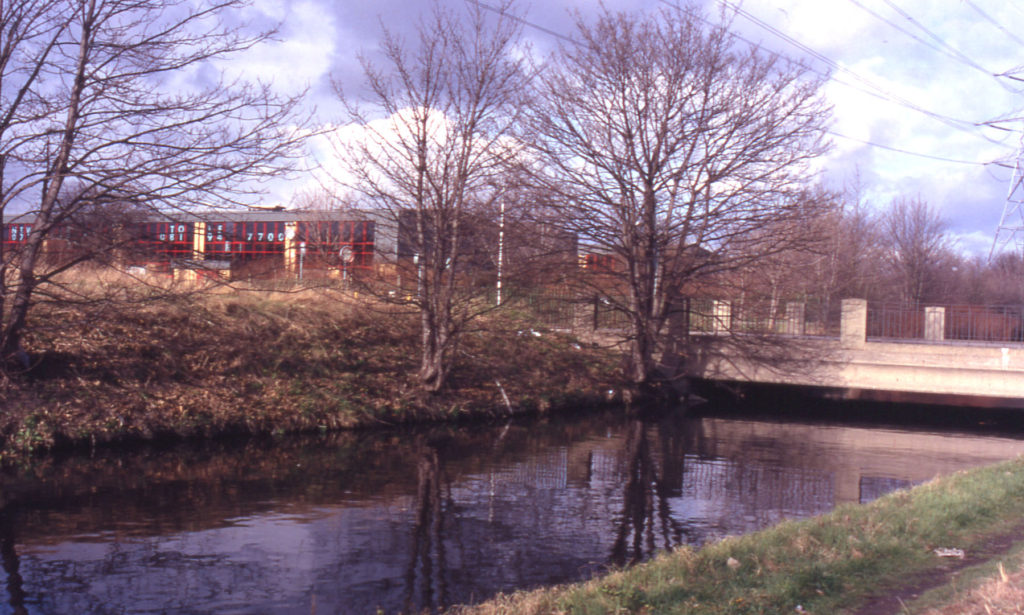 River Wandle: Windsor Avenue, London SW19.