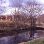 River Wandle: Windsor Avenue, London SW19.