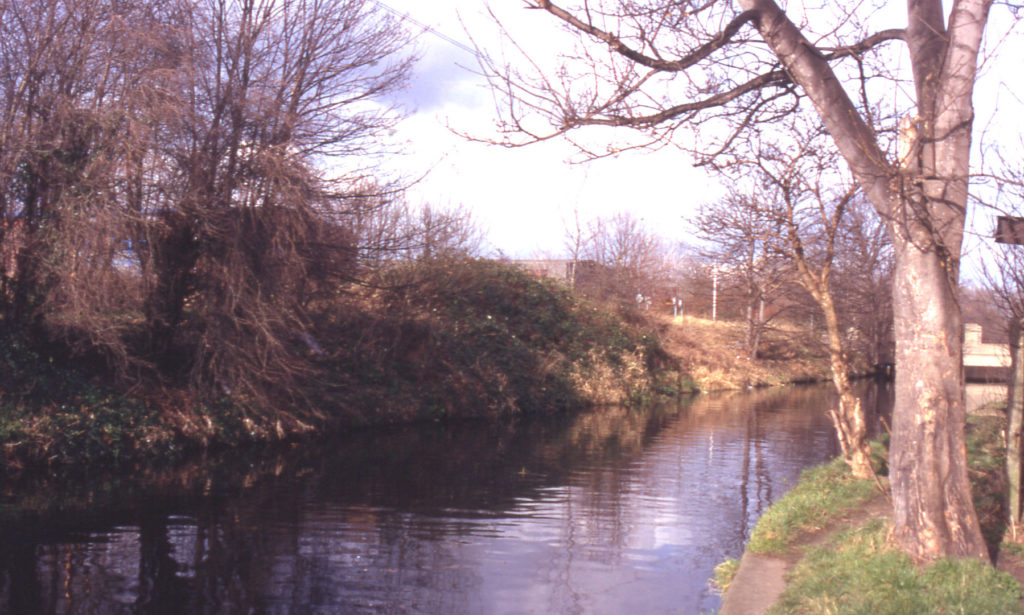 Wandle between Phipps Bridge and Windsor Avenue, London SW19.