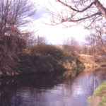 Wandle between Phipps Bridge and Windsor Avenue, London SW19.