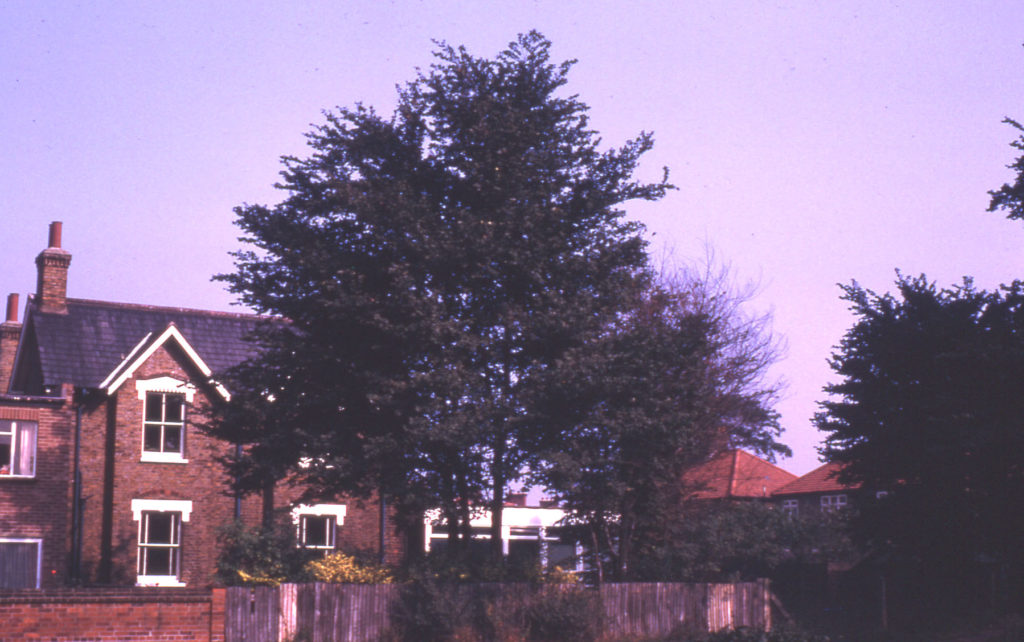 Sherwood House, Commonside East, Mitcham, Surrey CR4. 1870