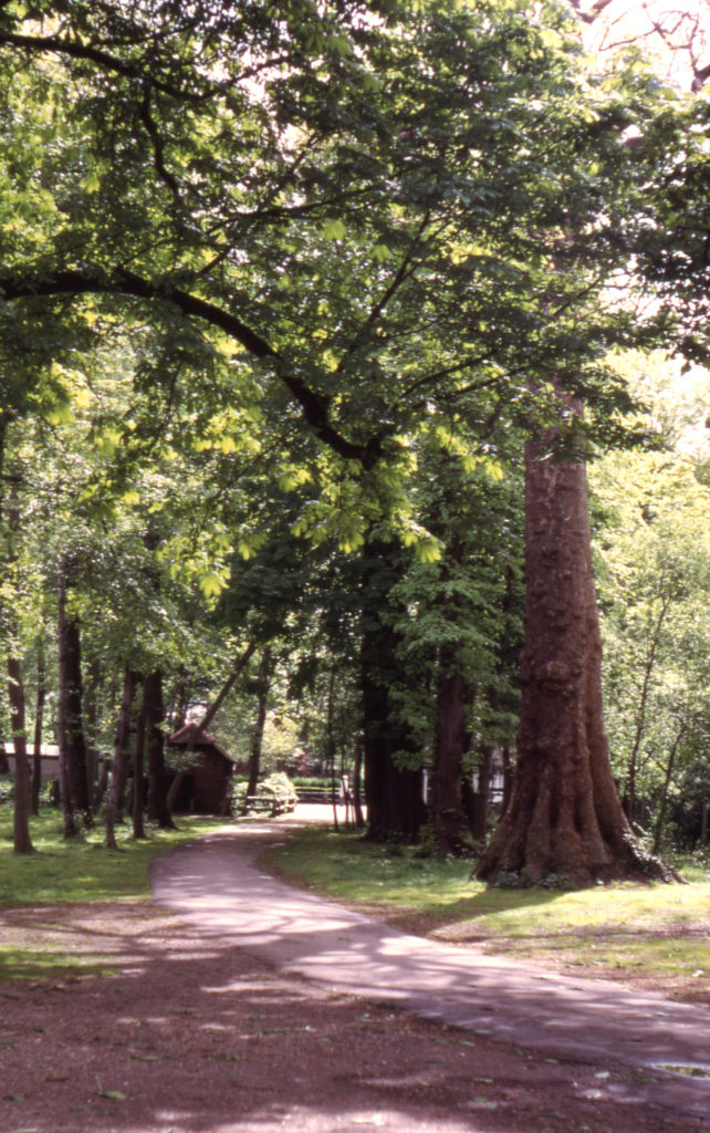 Ravensbury Park, Mitcham, Surrey CR4. The Drive to the site of former Ravensbury Manor House.