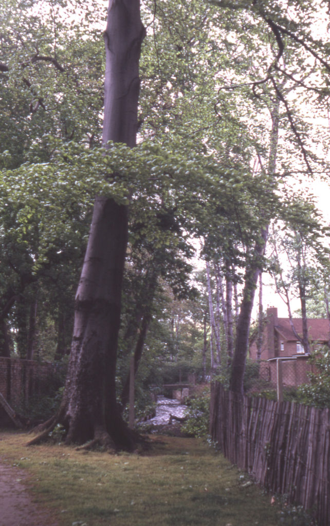 Remaining fragments of Ravensbury print works, edge of Ravensbury Park, Mitcham, Surrey CR4. Early 18th century. disused by mid 19th century.