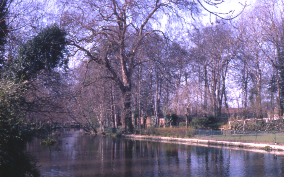 River Wandle in Ravensbury Park, Mitcham, Surrey CR4. Site of Ravensbury Manor House. 