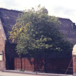 St. Marks Church Hall, St. Marks Road, Mitcham, Surrey CR4. Opened May 1865. Demoilshed early 1980s.