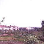 Allotments at Eastfields Road, Mitcham, Surrey, CR4. Last fragment of the open East Field.