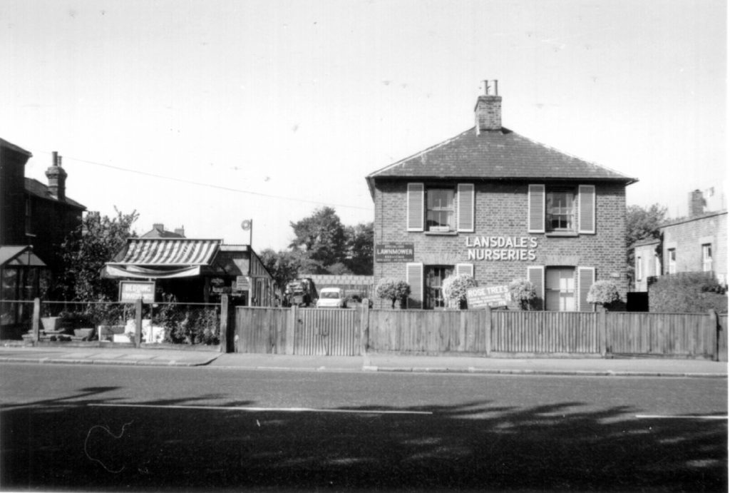 Lansdale's Nurseries, 102 Morden Rd SW19 (1970) WJR