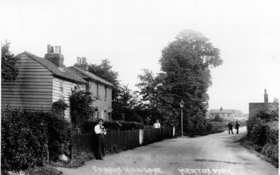 A Johns postcard of c.1920, looking south in Cannon Hill Lane. Mud Cottage is on the right.