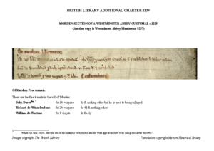 BL8139: transcript + image