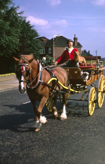 mhs-wjr-79-32 Mr Ross and wagonette (see 87 , 27) 06-69